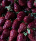 Savoureuses fraises fraîches mûres en tas — Photo de stock