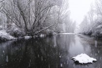 River streaming between snow winter forest — Stock Photo