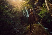 Вид сзади на женщину в маленькой реке и водопаде, текущем в зеленом темном красивом лесу. — стоковое фото