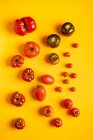 Varios tomates maduros dispersos sobre fondo amarillo brillante - foto de stock