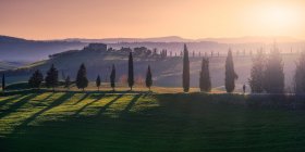 Мальовничий ландшафт зеленого поля з котеджним і кипарисами в яскравому Sunset Light, Італія — стокове фото