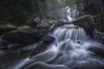 Paesaggio di bella cascata flusso in lunga esposizione su massi pesanti in boschi selvatici — Foto stock