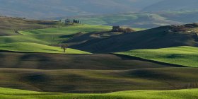 Vista de campos verdes sin fin en la luz del sol brillante, Italia - foto de stock