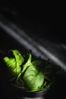 Healthy fresh spinach in black bowl on dark background — Stock Photo