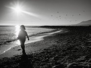 Чорно-біле зображення силуету невпізнаваної дівчини, що йде біля берега на заході сонця — стокове фото