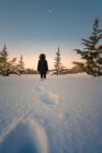 Rückansicht weiblicher Silhouette auf schneebedecktem Gelände um grüne Tannen unter malerischem Himmel — Stockfoto