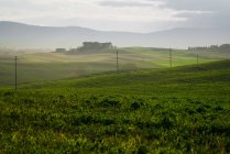 Paysage majestueux de vallée verdoyante avec champs et chaîne de montagnes en Toscane, Italie — Photo de stock