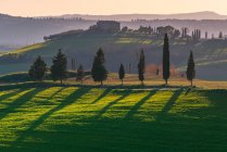 Picturesque landscape of green field with cottage and cypresses in bright sunset light, Italy — Stock Photo