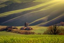 Величний ландшафт зеленої долини з полями та гірським діапазоном в Тоскані, Італія — стокове фото