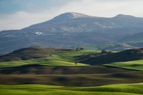 Vista panorámica de campos verdes sin fin en la luz del sol brillante, Italia - foto de stock