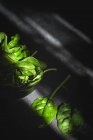 Espinacas frescas saludables en tazón negro sobre fondo oscuro - foto de stock