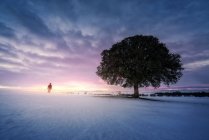 Турист в теплой одежде, стоящий на величественном снежном поле на фоне яркого закатного неба и одинокого дерева — стоковое фото