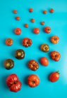 Frische reife Tomaten auf blauem Hintergrund verstreut — Stockfoto