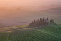 Мальовничий ландшафт зелених полів з котеджами та деревами у яскравому Sunset Light, Італія — стокове фото