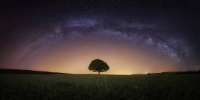 Lonely tree in wild landscape under bright night sky with milky way — Stock Photo