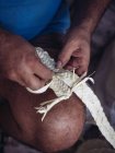 Primeros planos de artesano anónimo tejiendo hojas de palma secas de fibra mientras trabaja en taller - foto de stock