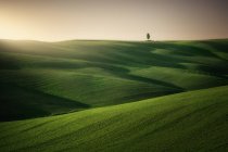 Vista panorâmica de infinitos campos verdes sob luz solar brilhante, Itália — Fotografia de Stock