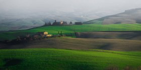 Vue panoramique des champs et collines verdoyantes sans fin, Italie — Photo de stock