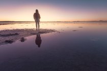 Rückansicht einer Frau, die allein steht und den strahlend rosa blauen Himmel am leeren, ruhigen Meeresufer beobachtet — Stockfoto