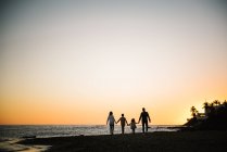 Vue arrière silhouette de quatre membres de la famille marchant en tenant la main au coucher du soleil — Photo de stock