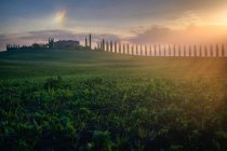 Paisagem pitoresca de campos verdes com casa de campo e árvores em luz brilhante do pôr do sol, Itália — Fotografia de Stock