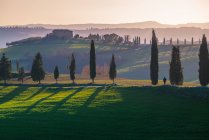 Vue panoramique de champs verts sans fin avec des cyprès sous un soleil éclatant, Italie — Photo de stock