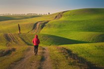 Rückansicht einer Person in Jacke, die auf einer leeren Landstraße in majestätischen grünen Feldern Italiens spaziert — Stockfoto