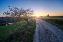 Пустой сельской дороге в величественных зеленых полях на закате Италии — стоковое фото