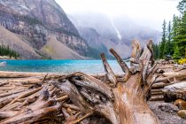 Живописный вид деревянных труб на побережье у поверхности воды и вершин каменных шипов в облаках в Банфе, Канада — стоковое фото