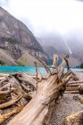 Picturesque view of wooden trunks on coast near water surface and tops of stone hills in clouds in Banff, Canada — Stock Photo