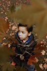 Cute African American kid looking away while holding branch with autumn leaves in park — Stock Photo