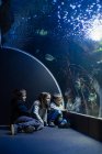 Два мальчика и одна девочка, пялящиеся на рыбу в аквариуме рядом со стаканом бассейна — стоковое фото