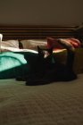 Chat mignon couché sur le lit sous le rayon de lumière en regardant la caméra — Photo de stock
