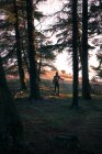 Voyageur anonyme en bordure de forêt — Photo de stock