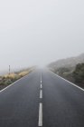 Empty road through woodland in overcast day — Stock Photo