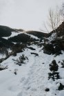 Maravillosa vista de colinas en la nieve - foto de stock