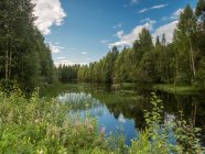 Increíble paisaje soleado de verano con río, prado y bosque en Finlandia - foto de stock