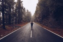 Vista posteriore di escursionista con zaino camminare su strada lungo pittoresco paesaggio forestale in Spagna — Foto stock
