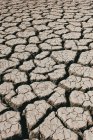Глибокі тріщини, що покривають суху поверхню ґрунту в сонячний день у сільській місцевості — стокове фото