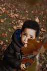 Cute African American kid looking away while holding branch with autumn leaves in park — Stock Photo