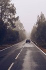 Вид ззаду автомобіля на порожній вологий шлях оточені дерева в похмурий туманний день — стокове фото