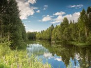 Splendido paesaggio estivo soleggiato con fiume, prato e foresta in Finlandia — Foto stock