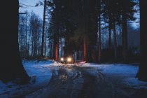 Auto fährt auf schmutziger Straße im Abendwald — Stockfoto