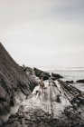 Cão em pé na costa molhada perto de penhasco áspero e mar tempestuoso no dia maçante no campo — Fotografia de Stock