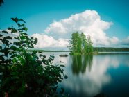 Increíble paisaje soleado de verano con río, prado y bosque en Finlandia - foto de stock