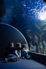 Dois meninos e uma menina, olhando peixes em um aquário ao lado do copo da piscina — Fotografia de Stock
