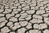 Fissures profondes recouvrant la surface sèche du sol par temps ensoleillé dans la campagne — Photo de stock