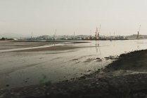 Paysage industriel avec baie maritime et grues portuaires — Photo de stock