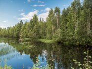 Удивительный летний солнечный пейзаж с рекой, лугом и лесом в Финляндии — стоковое фото