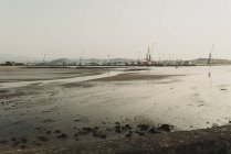 Промышленный ландшафт с морской бухтой и портовыми кранами — стоковое фото